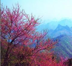 阳朔自助游 桂林旅行网 桂林旅游网 桂林旅游, 阳朔自助游 桂林旅行网 桂林旅游网 桂林旅游生产厂家, 阳朔自助游 桂林旅行网 桂林旅游网