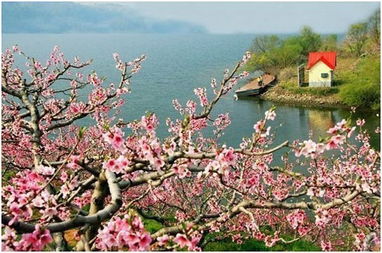 鸭绿江畔 美丽丹东 四日自驾寻春游