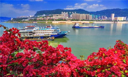 这就是万州 今天将万众瞩目