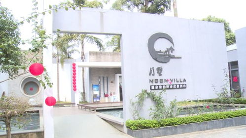 桂林旅游热度飙升 这地方游客爆满 熟悉的旅游景象回来了