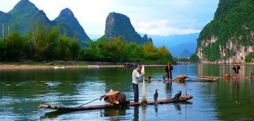 校工会 院工会二 三 四分会组织会员到桂林旅游