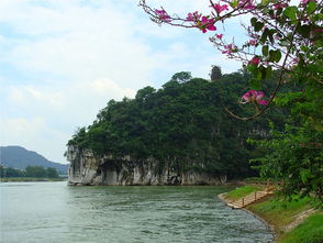 重回桂林 桂林游记攻略