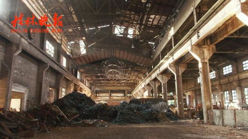 桂林橡胶机械厂 东北三线人的桂林荣光与乡愁